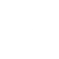 Bowl of Salad Icon