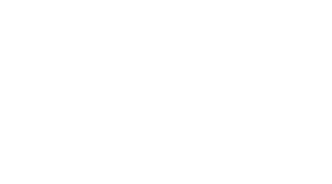 Förderpartner Nemesis Reinigungsservice