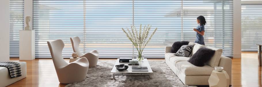 Best shadings for homes, Hunter Douglas Silhouette® Window Shadings, shadings near Houston, Texas (TX)