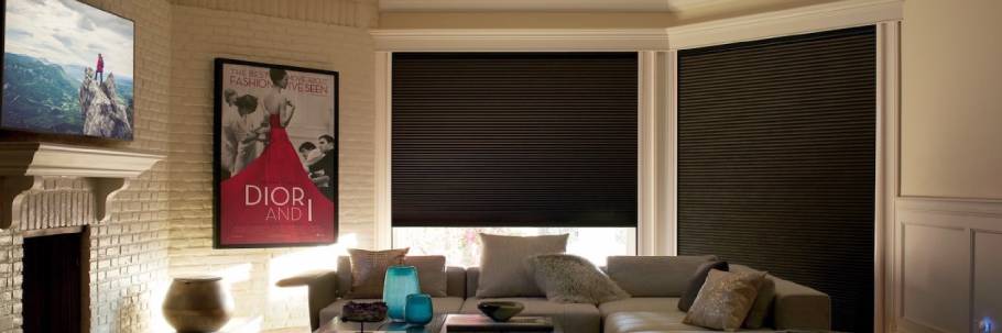 Introducing Honeycomb Shades, Hunter Douglas Duette® Honeycomb Shades, honeycomb shades, near Houston, Texas (TX)