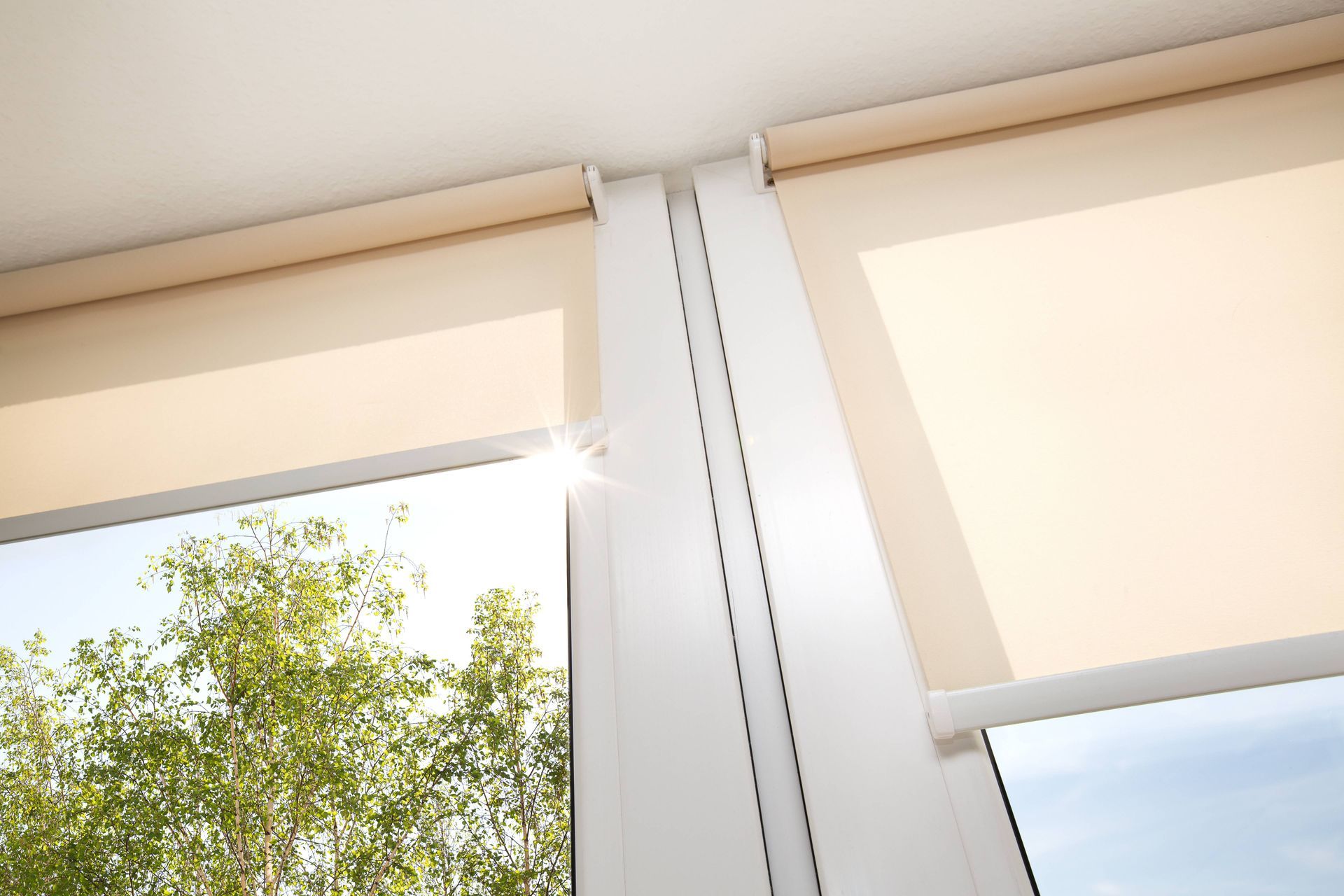 Two tall windows featuring roller shades partially opened, overlooking a tree and blue skies near Houston, TX
