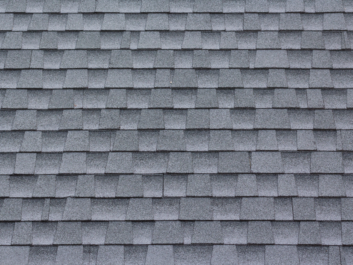 asphalt shingle roof