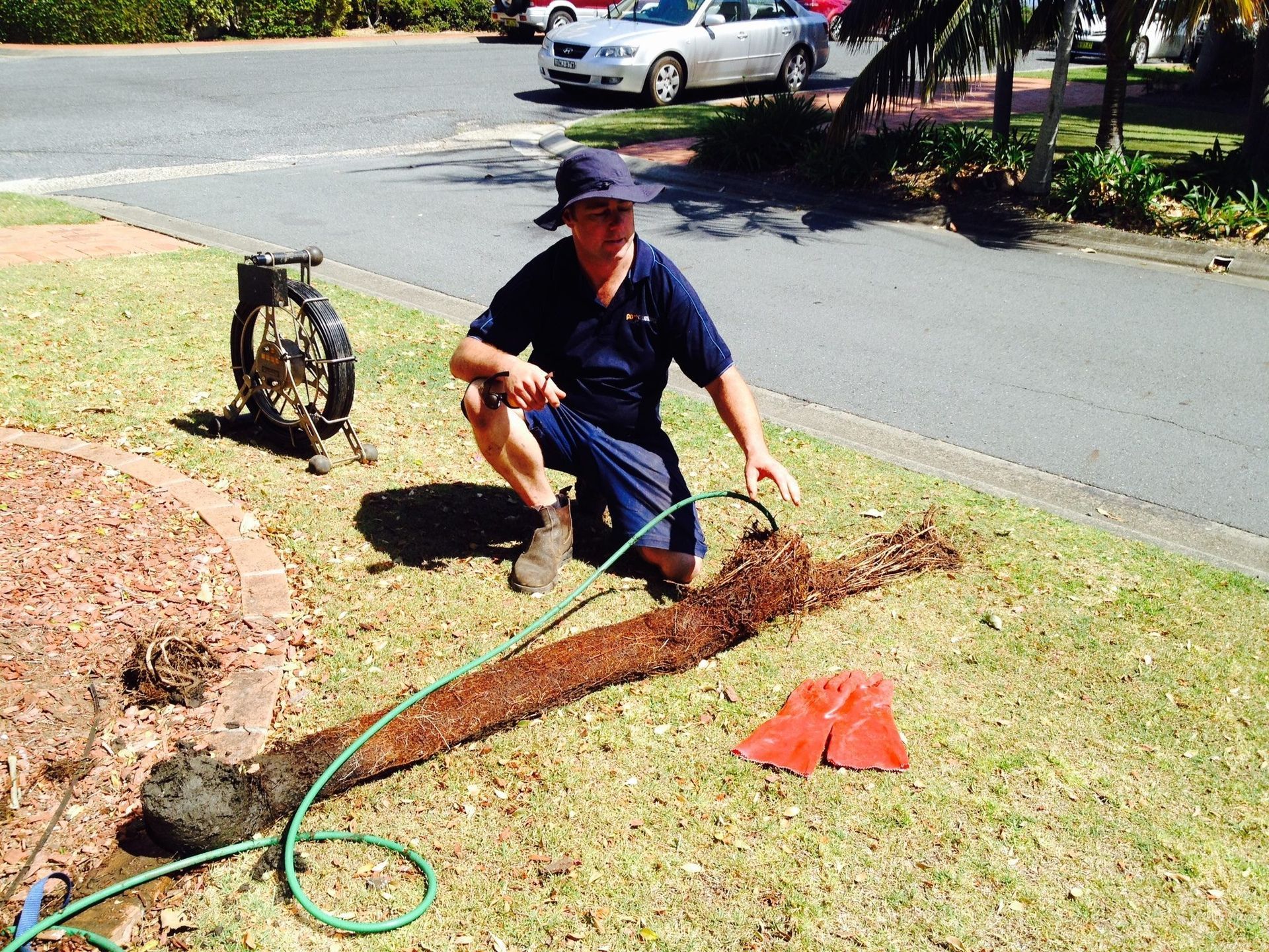 Man Kneeling on Grass Pointing at a Long, Brown Root — Port Macquarie Plumbing In Wauchope, NSW