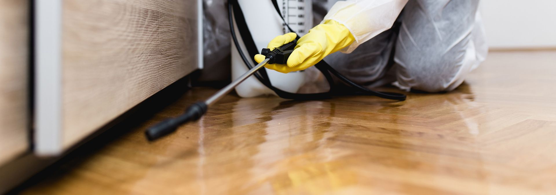 Woman exterminator in work wear spraying pesticide or insecticide with sprayer