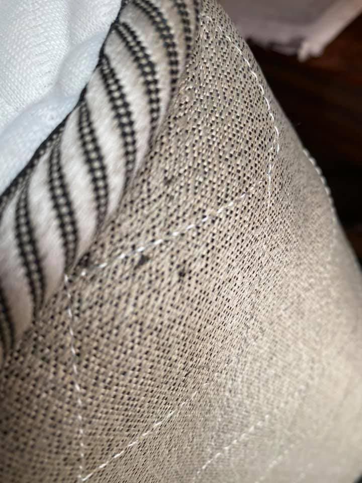 Bed bug — Fort Wayne, IN — DeadOne Pest Control, LLC