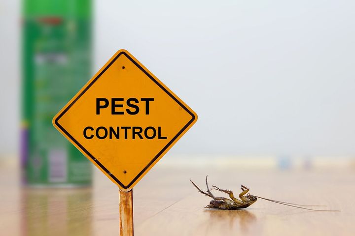 Pest control warning sign with dead insect.