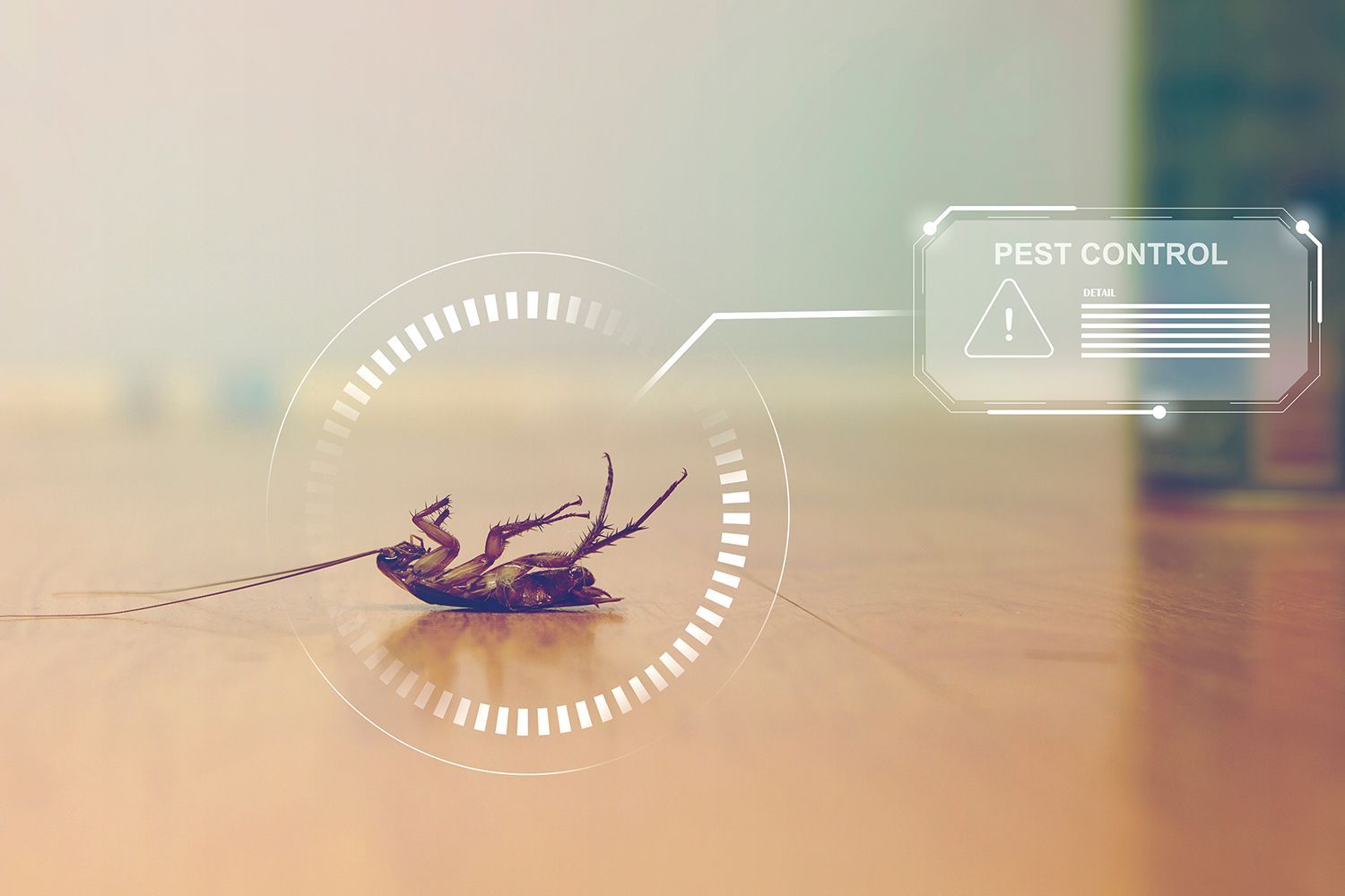 Dead cockroach on a wooden floor with a digital pest control alert overlay.