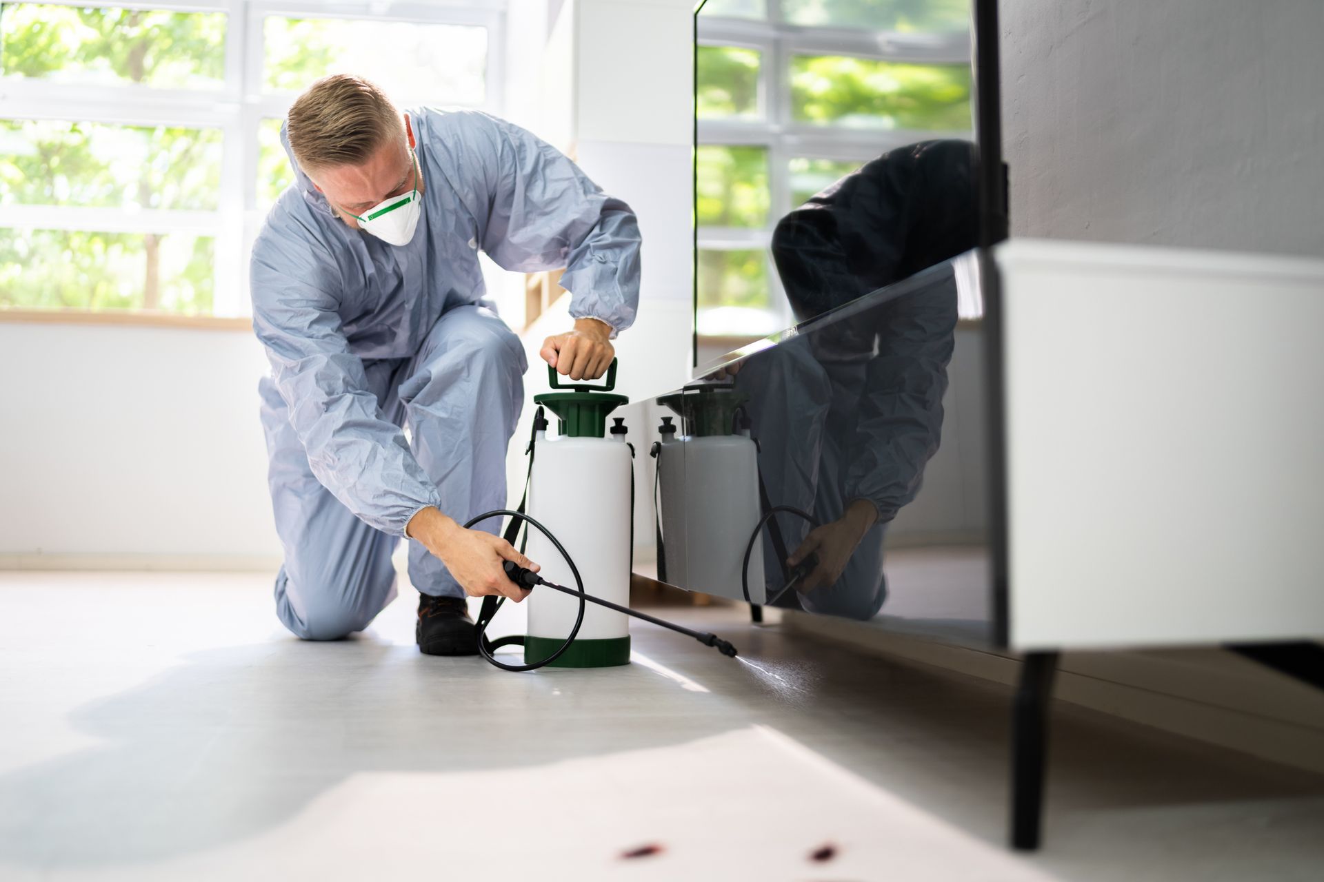 Pest control exterminator spraying insecticide.