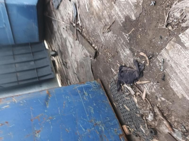 A Bird is Laying on the Ground Next to a Blue Box — South West 4WD Wreckers In Harristown, QLD