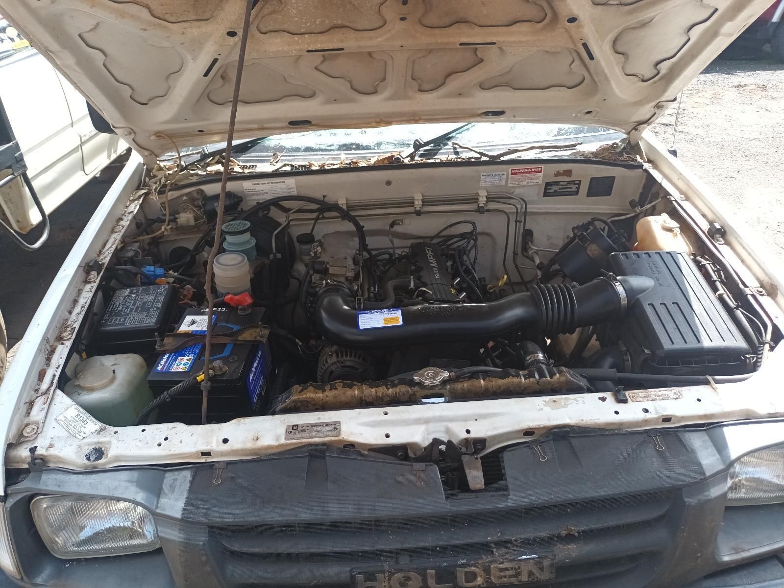 The Hood of a White Holden Car is Open — South West 4WD Wreckers In Brisbane, QLD