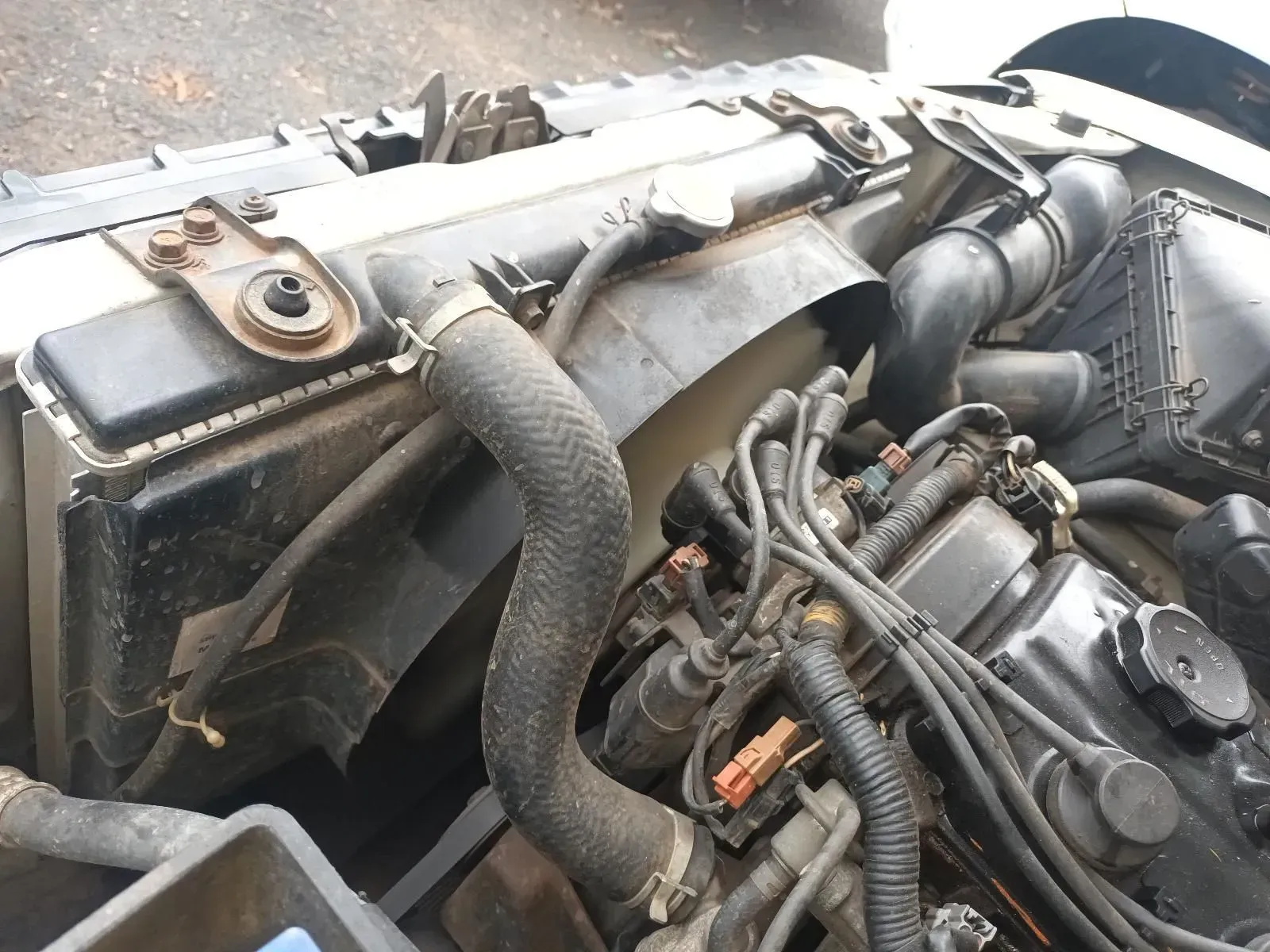 Car Engine Bay With a Radiator, Hoses, Fan, and Engine Components — South West 4WD Wreckers In Brisbane, QLD