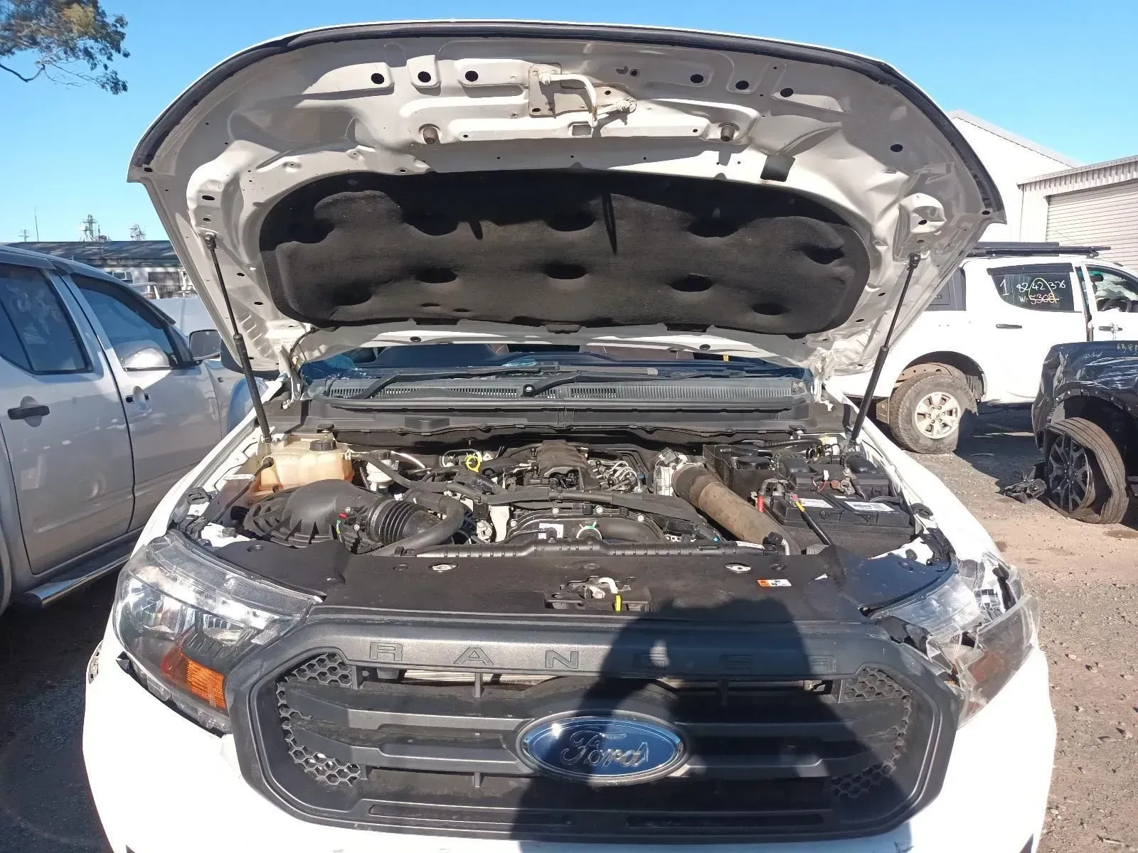 White Ford Ranger With Its Hood Open, Revealing the Engine — South West 4WD Wreckers In Brisbane, QLD