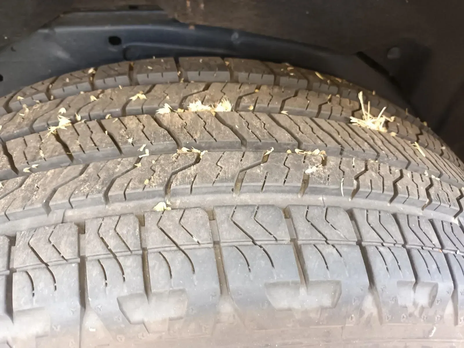 Close-up of a Car Tyre With Dirt and Small Weeds Stuck in the Treads — South West 4WD Wreckers In Brisbane, QLD