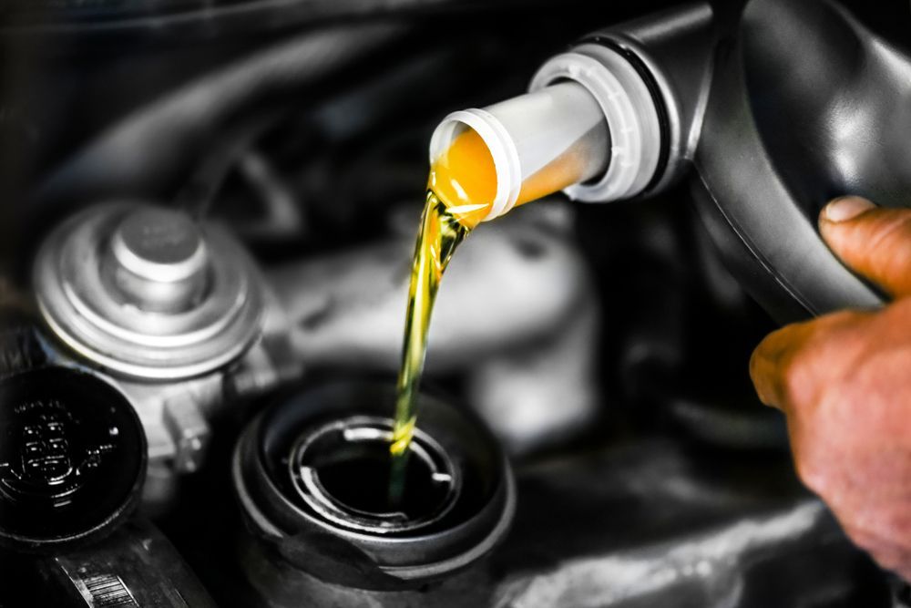 A Hand Pours Golden Engine Oil From a Black Plastic Container — O'Toole Automotive In Tuggerah, NSW