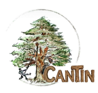 Cantin Logo
