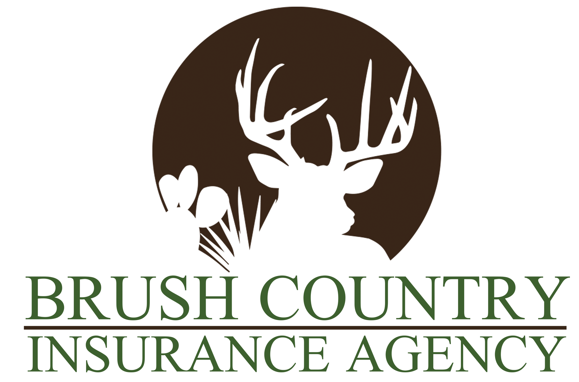 Brush Country Insurance Agency