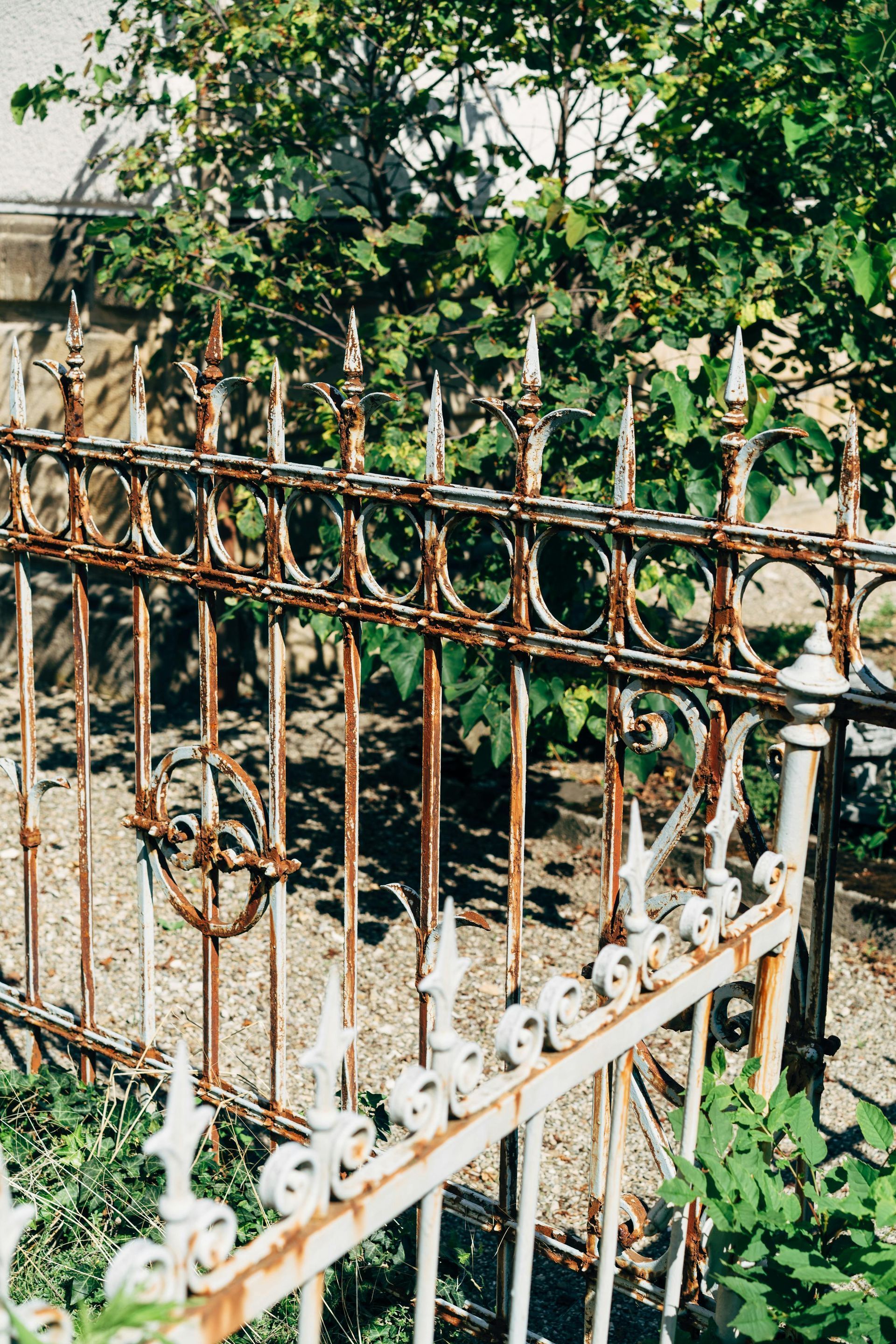 Rusty wrought-iron fence with decorative details, partially covered by greenery; outdoors.