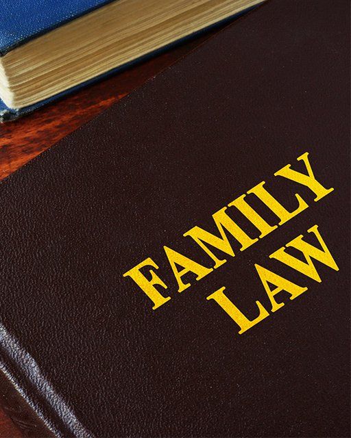 Family Law Book — Hanover, PA — Strausbaugh Law PLLC