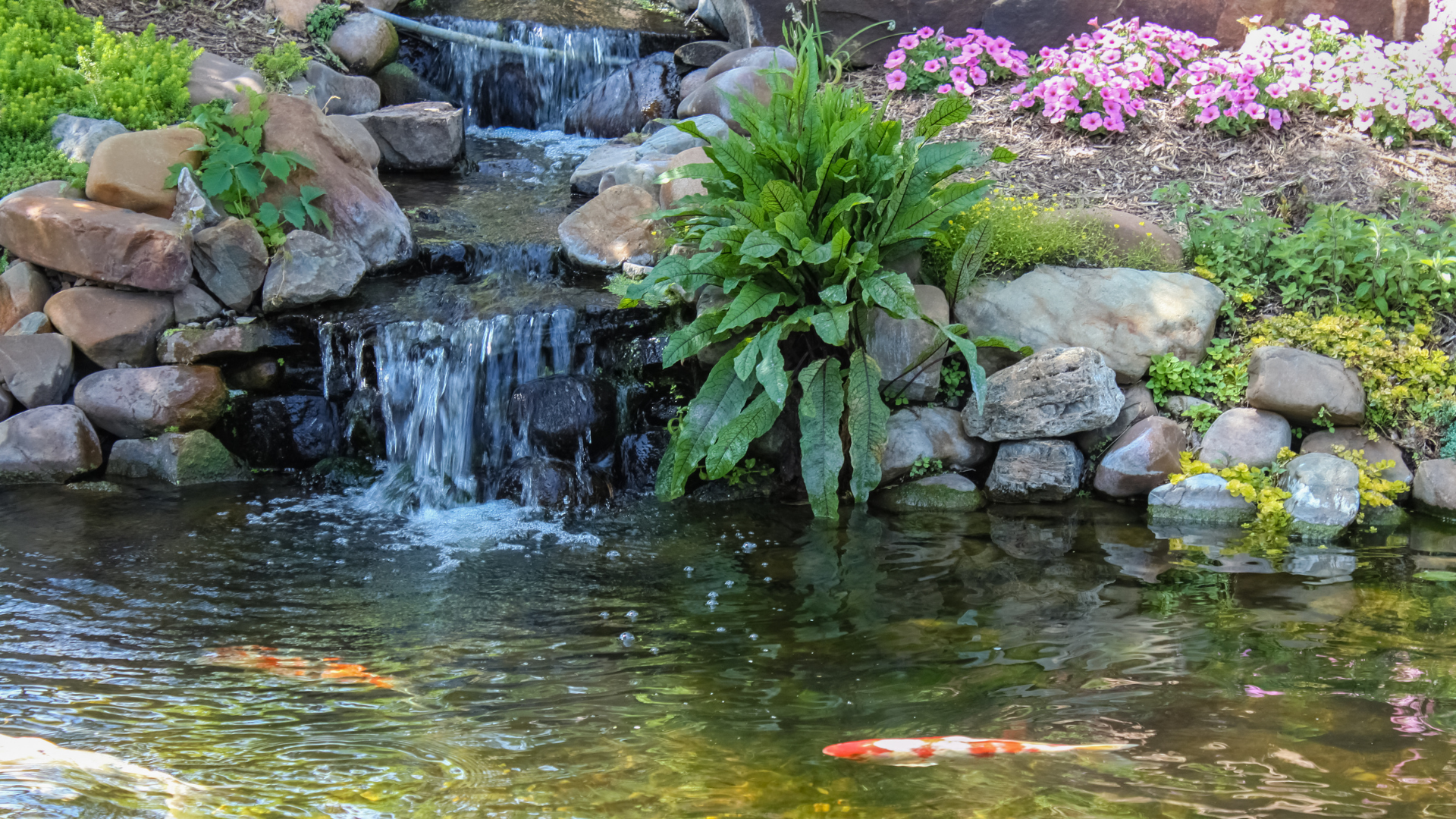 Small waterfall cascading into a pond with rocks, green ferns, and pink flowers along the bank