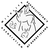 Logo of Wild Animal Rehabilitation Association of Rhode Island with a rabbit and small animals in a diamond outline