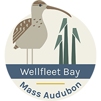Wellfleet Bay Mass Audubon logo with a shorebird and reeds on a circular badge