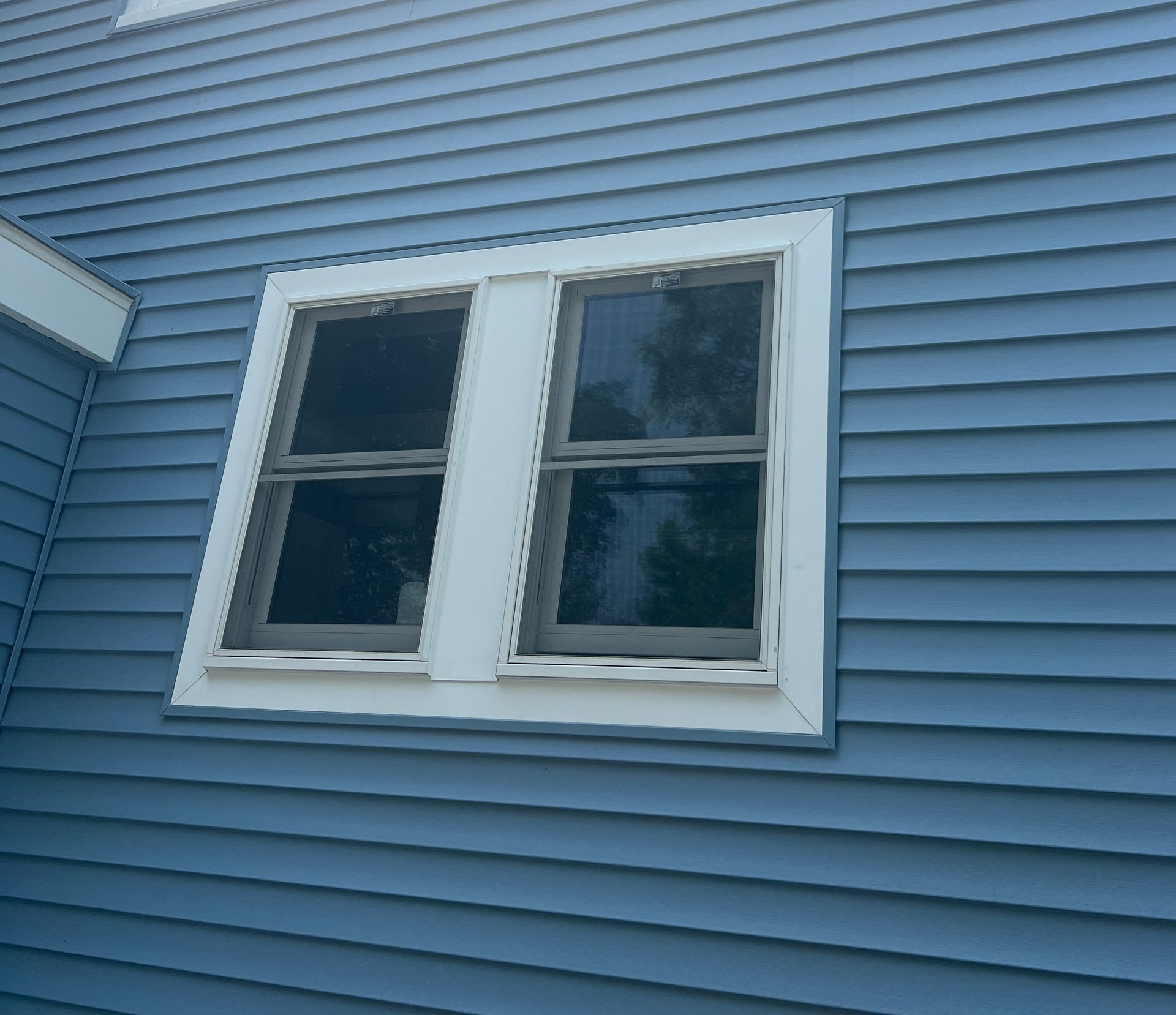 Double-hung window on a blue-sided house, framed in white.