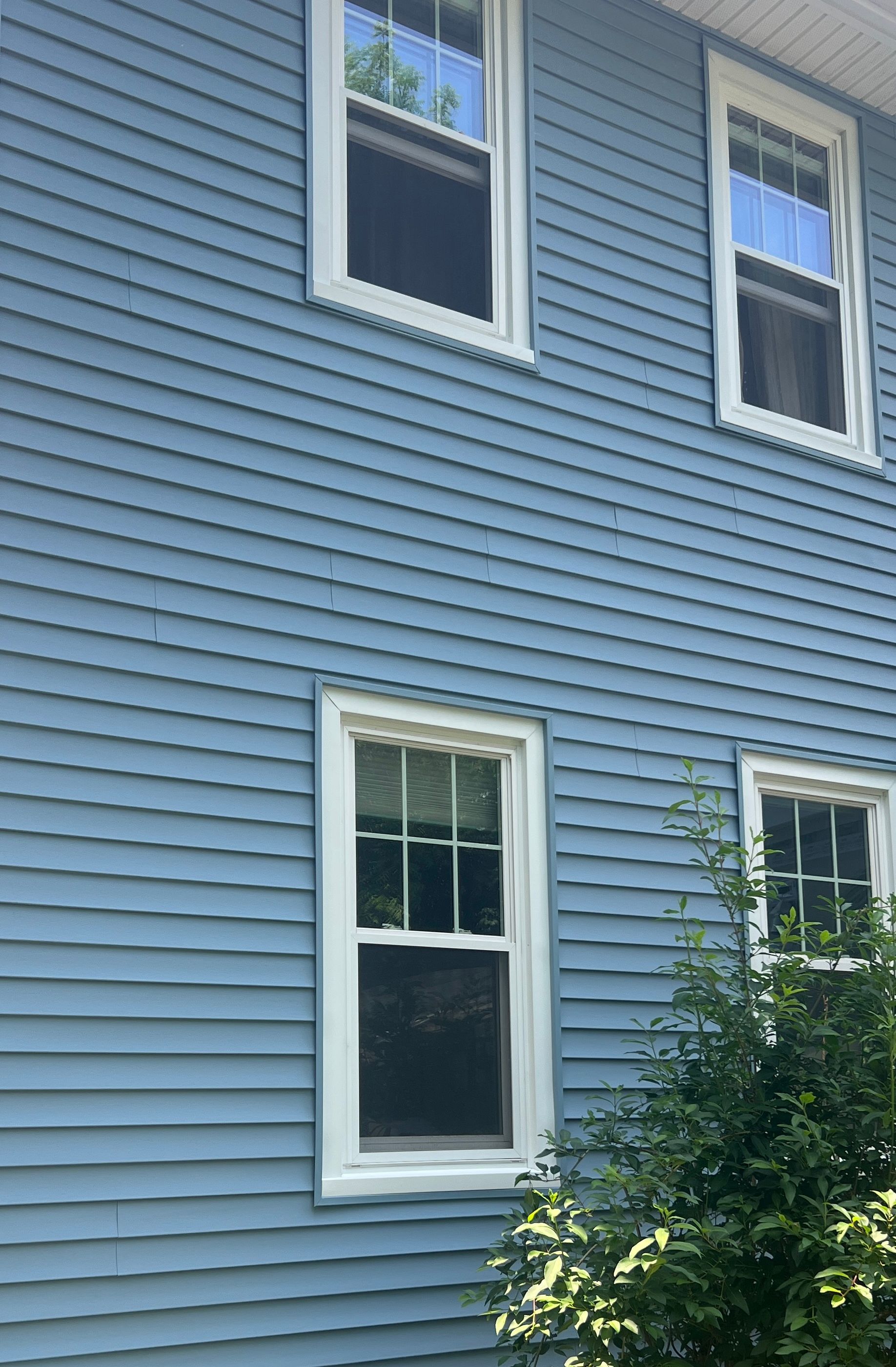 Blue house exterior with white-framed windows, sunlight reflecting, shrubbery in foreground.