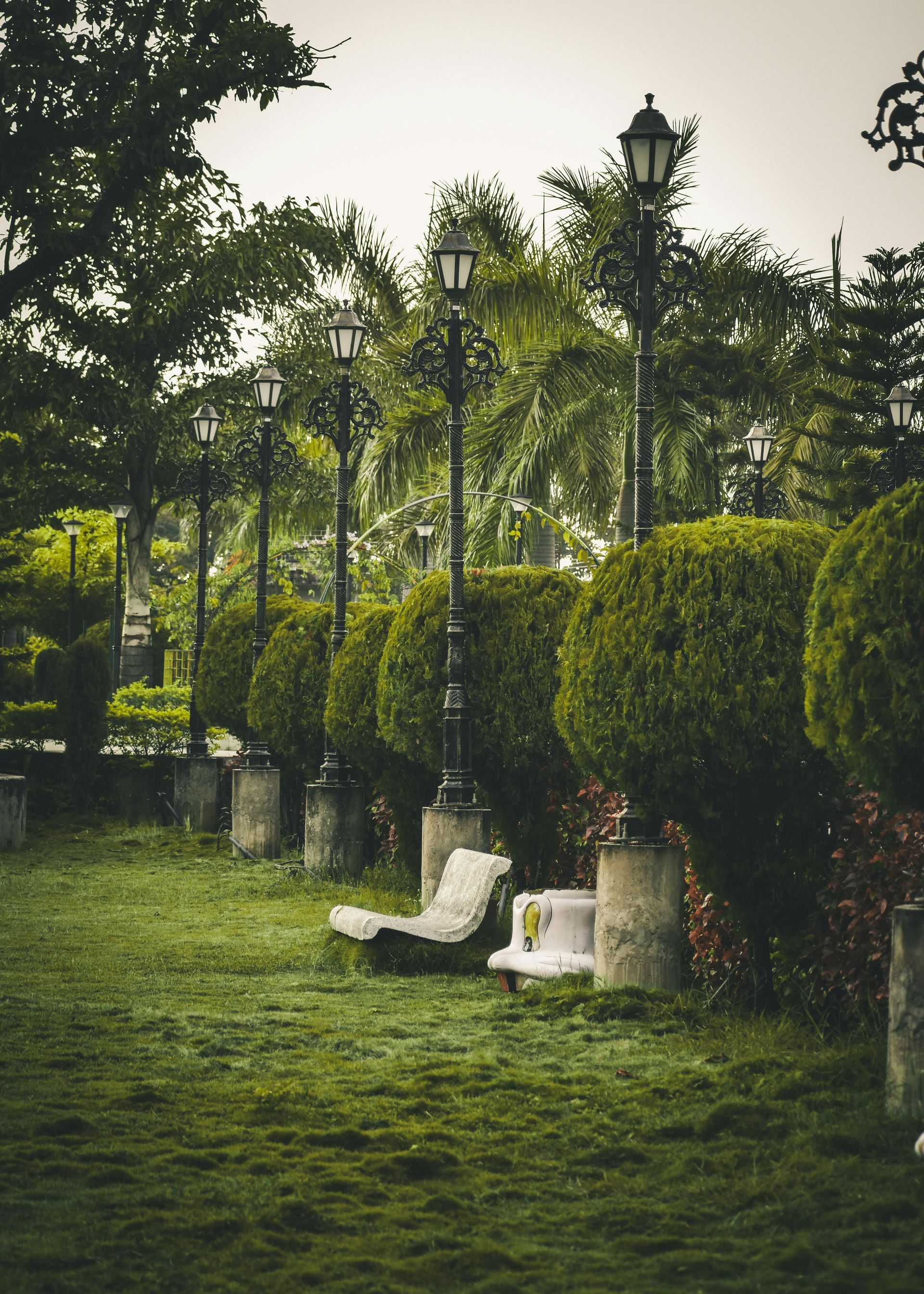 Green park with trees and hedges