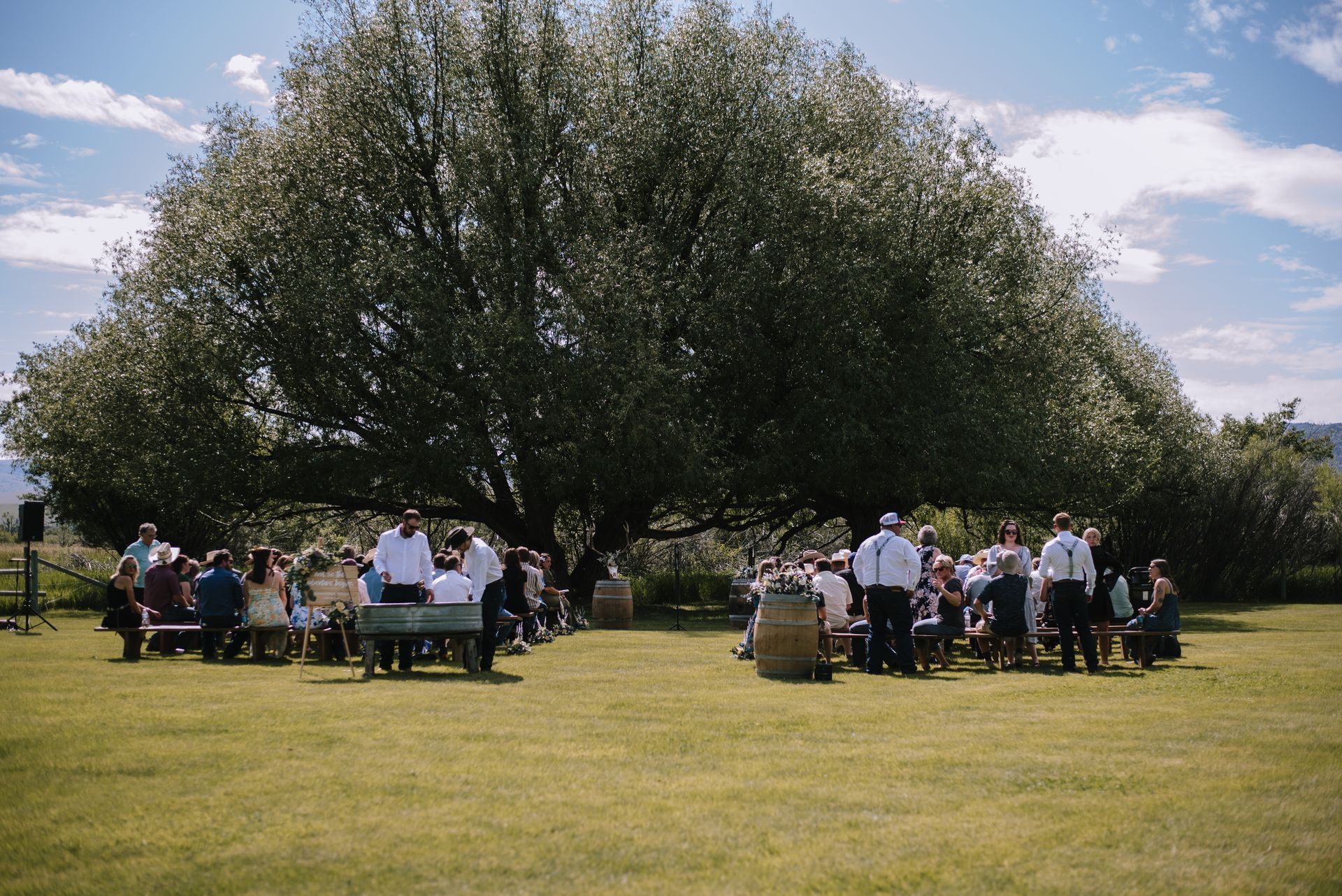Wedding ceremony in bear creek meadow