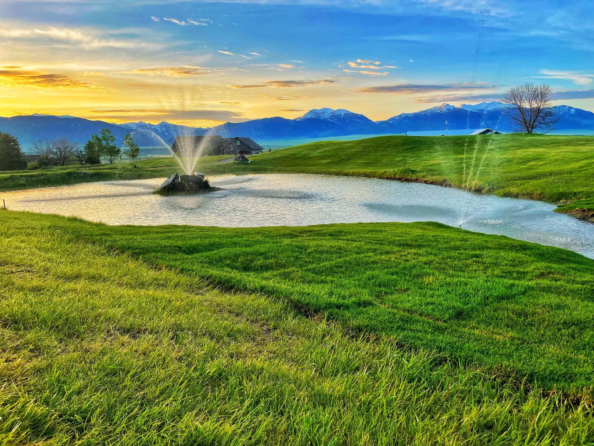 A small pond with a fountain in the middle of a grassy field.