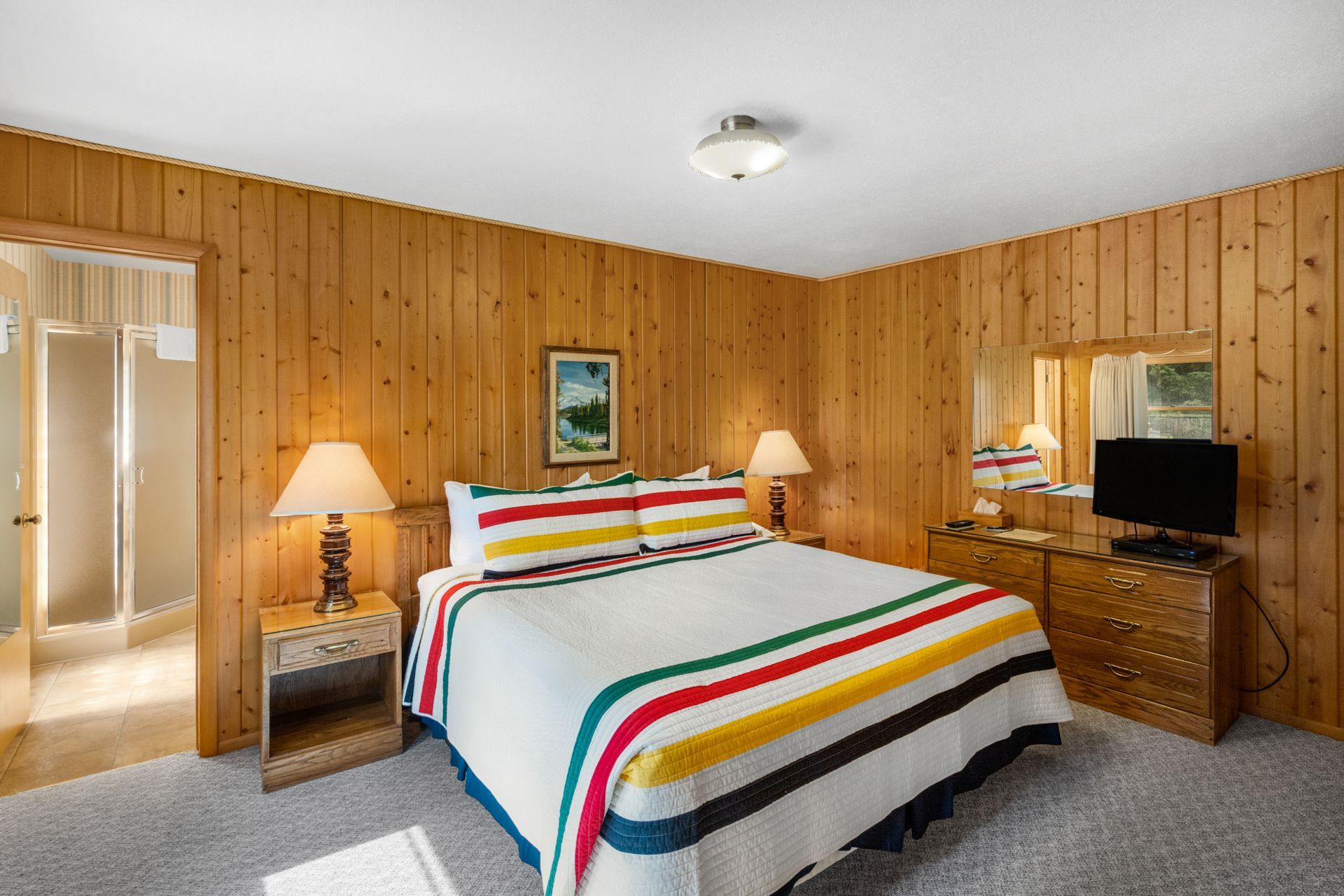 A bedroom with a king size bed and a television.