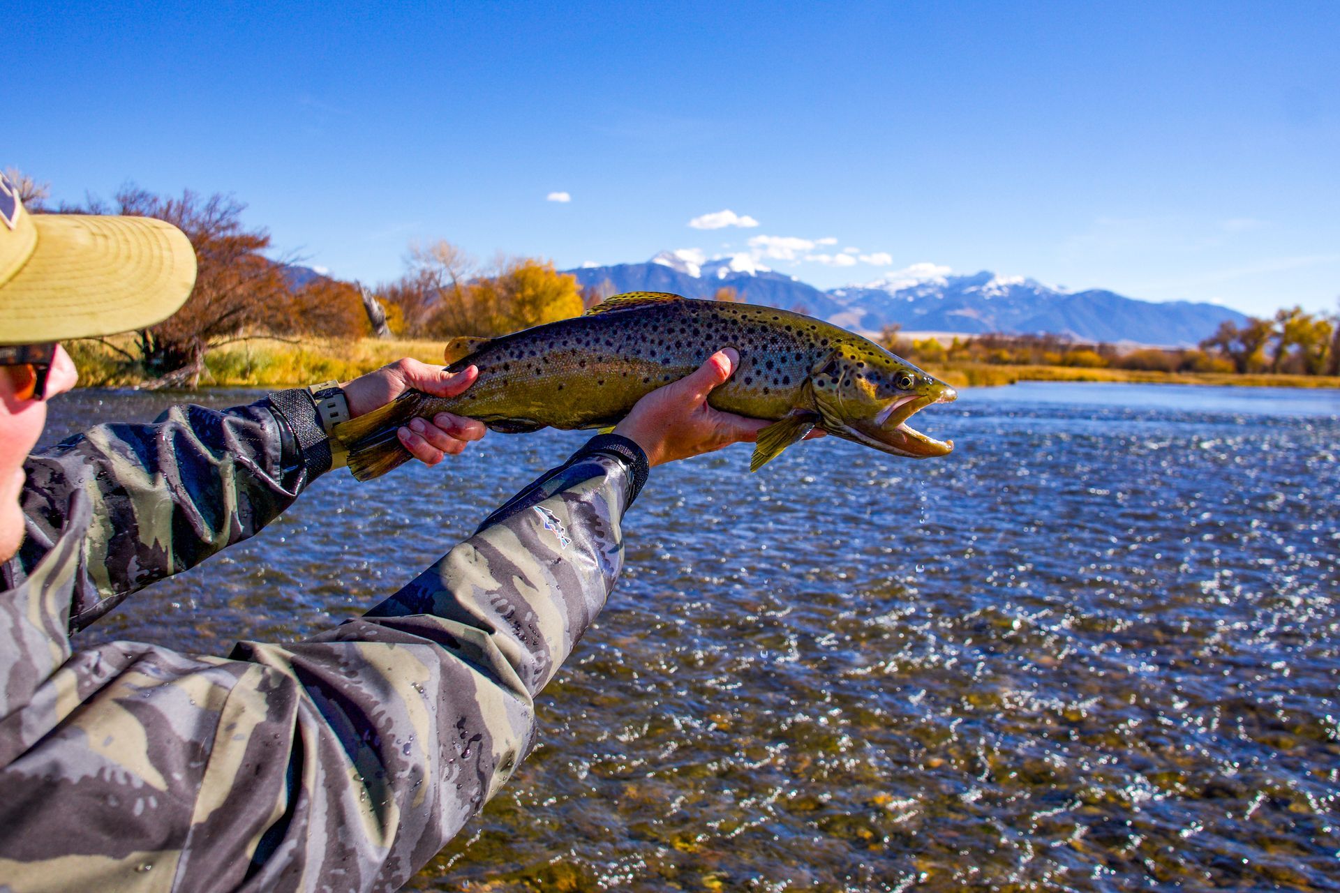 A man is holding a brown trout in his hands in a river.