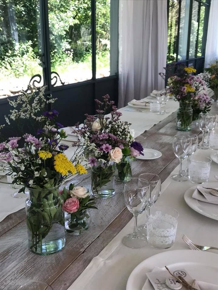 Articoli regalo con piantina