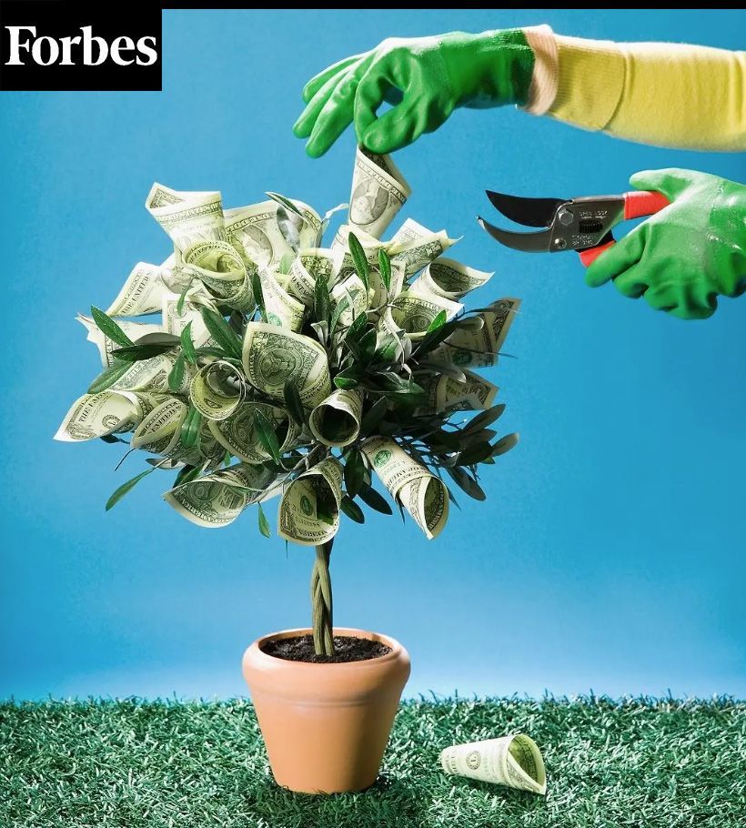 An image showing someone pruning savings from minimizing capital gain taxes