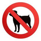 Icona divieto accesso cani