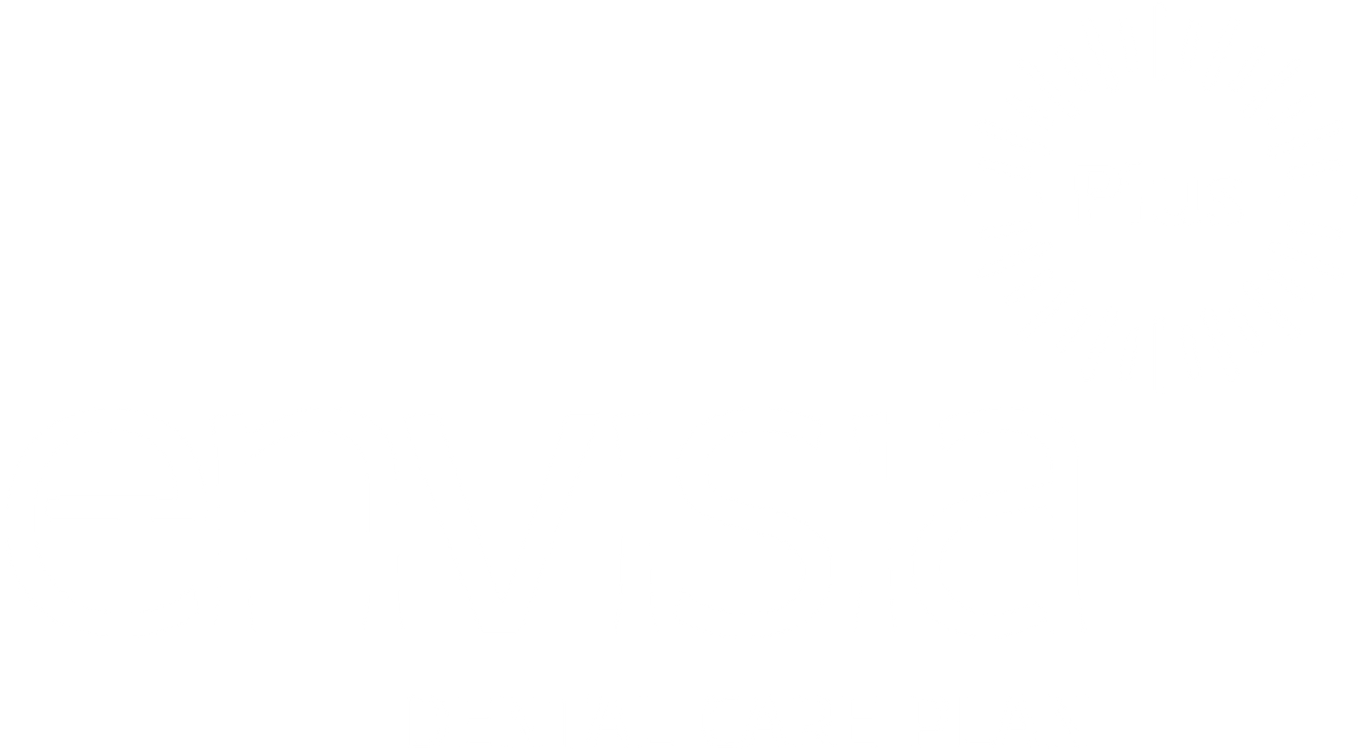 White Envisia Plus logo