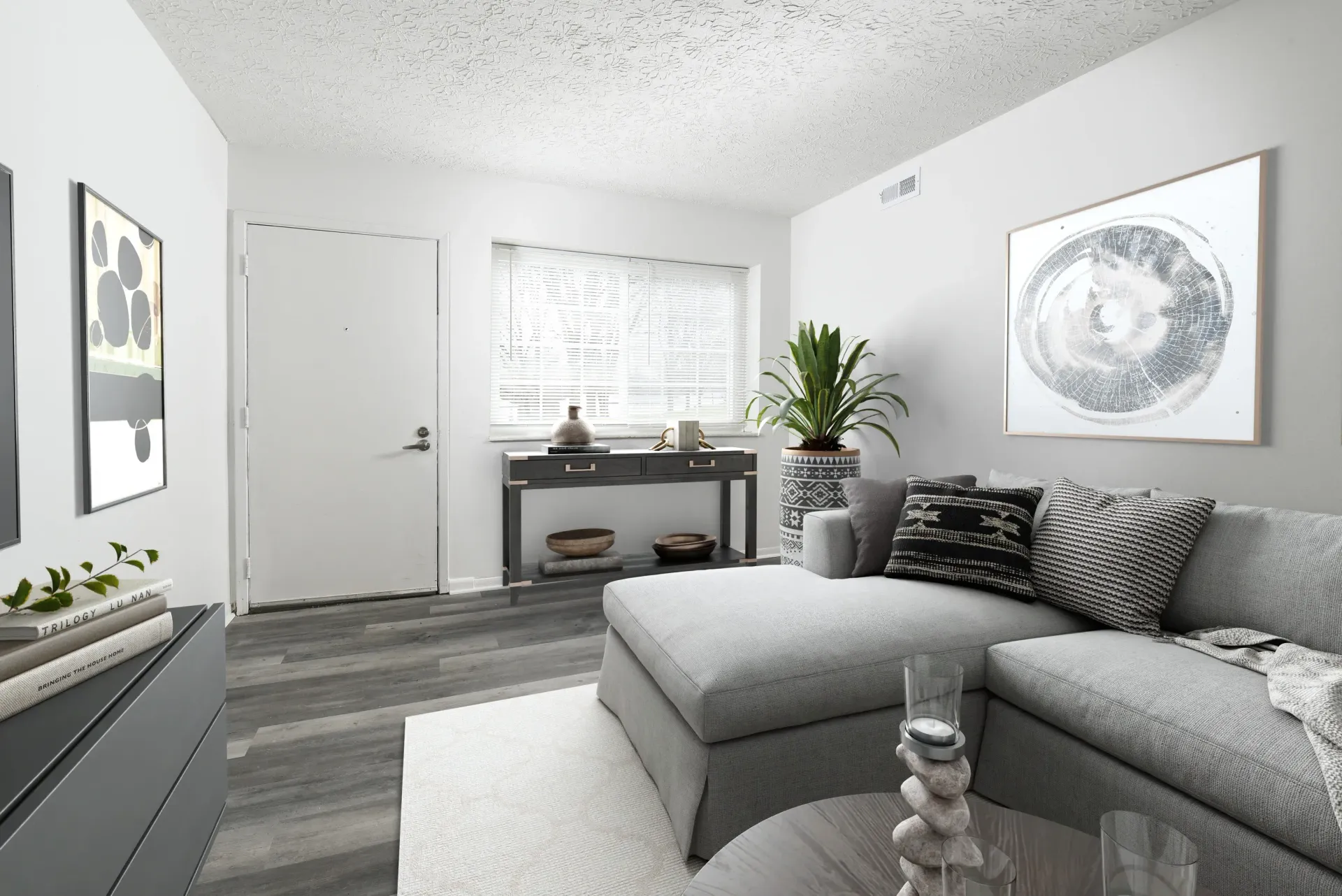 Living room in an apartment with a gray sectional sofa, plant, and abstract art.