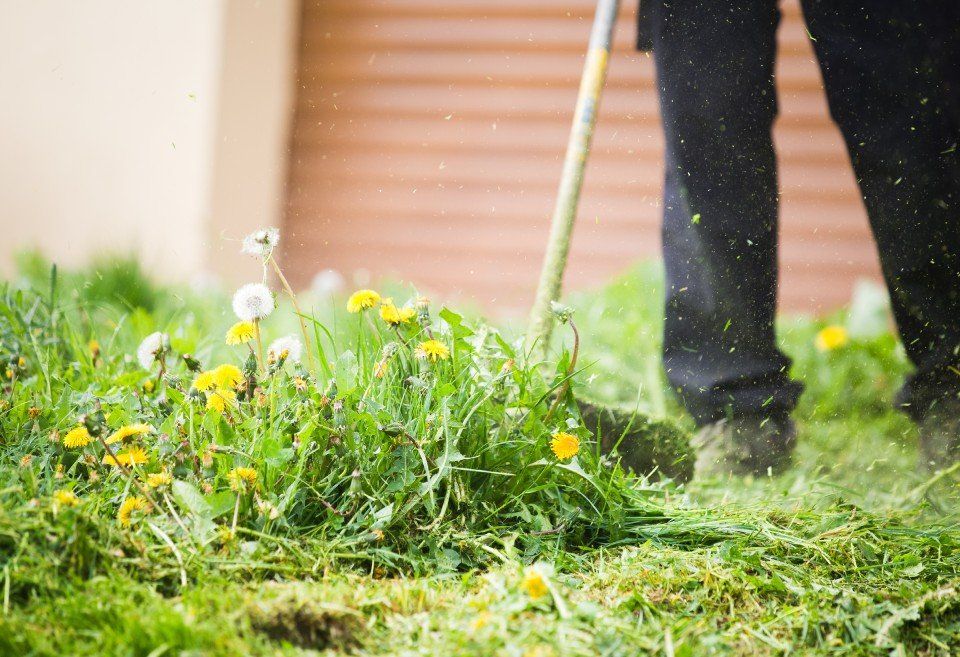 Manutenzione delle aree verdi