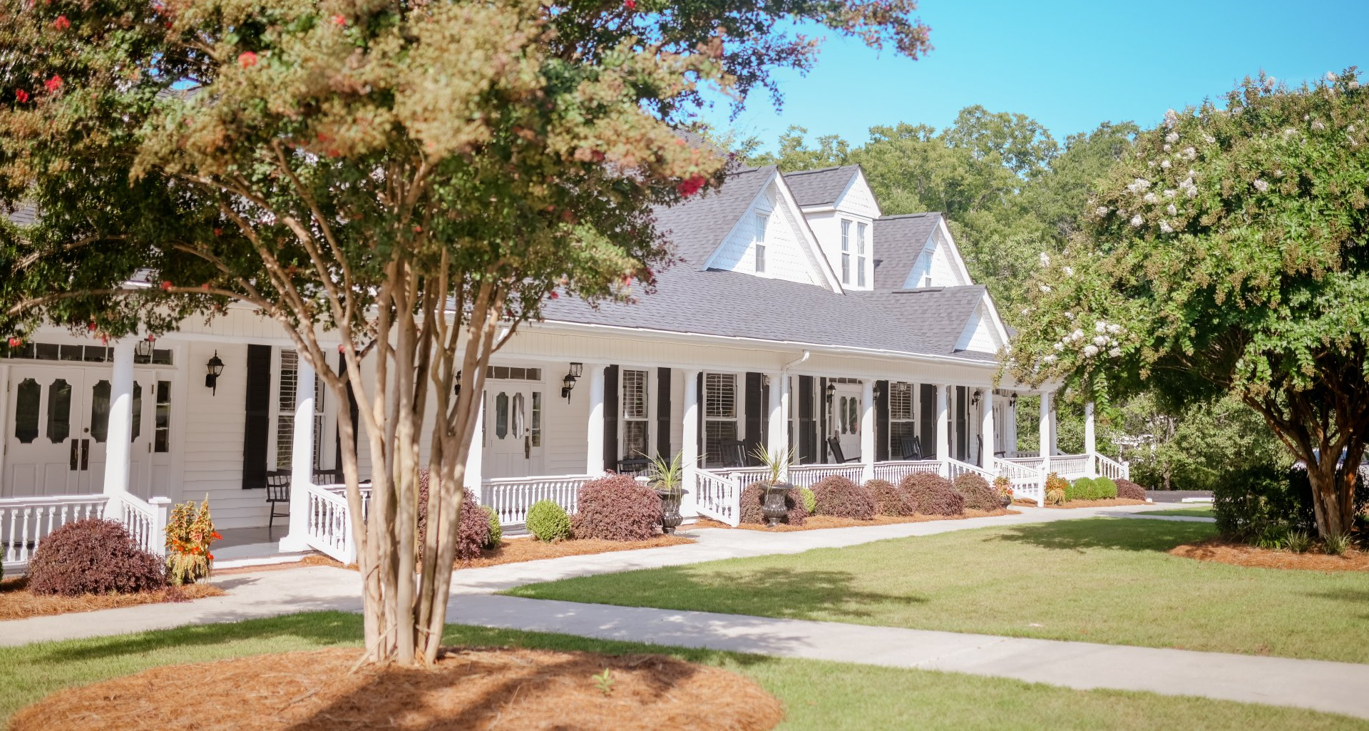 Compassion, Dignity & Respect