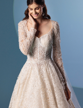 A woman is wearing a wedding dress with long sleeves and a veil.