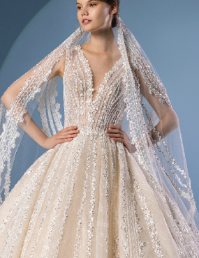 A woman in a wedding dress with a veil on her head