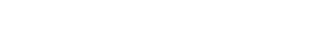 The logo for lily bridal is black and white with a flower in the middle.