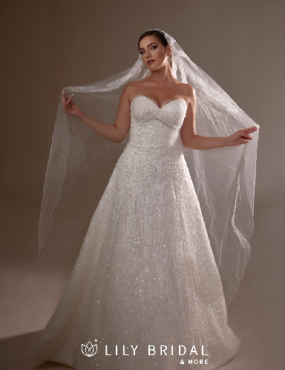 A woman is wearing a wedding dress and veil from lily bridal