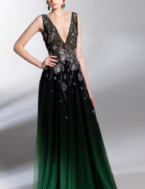 A woman is wearing a black and green dress with a plunging neckline