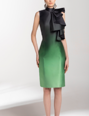 A woman is wearing a black and green dress