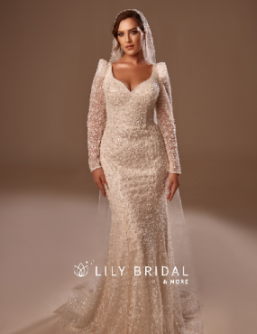 A woman is wearing a wedding dress with long sleeves and a veil.