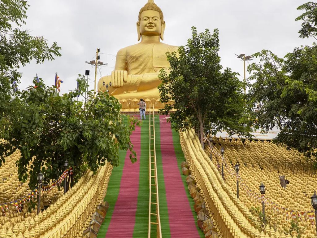  Phnom Tamao Wildlife Center & Buddha Kiri Cambodia private Day Tour from Phnom Penh