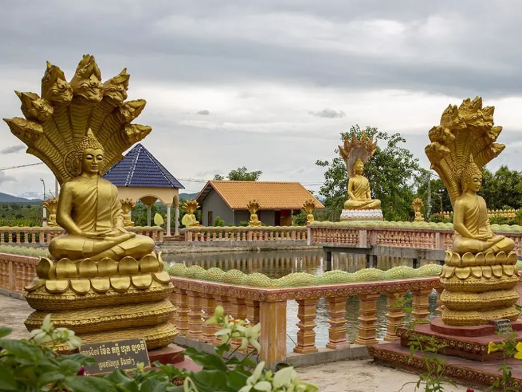  Phnom Tamao Wildlife Center & Buddha Kiri Cambodia private Day Tour from Phnom Penh