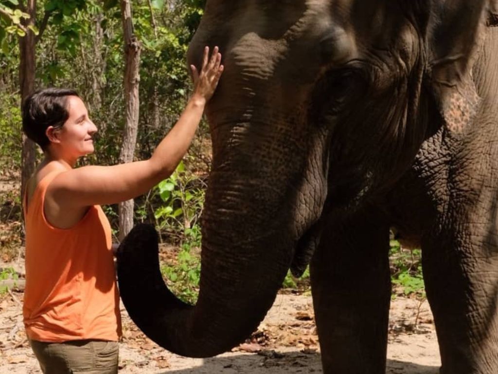  Phnom Tamao Wildlife Center & Buddha Kiri Cambodia private Day Tour from Phnom Penh