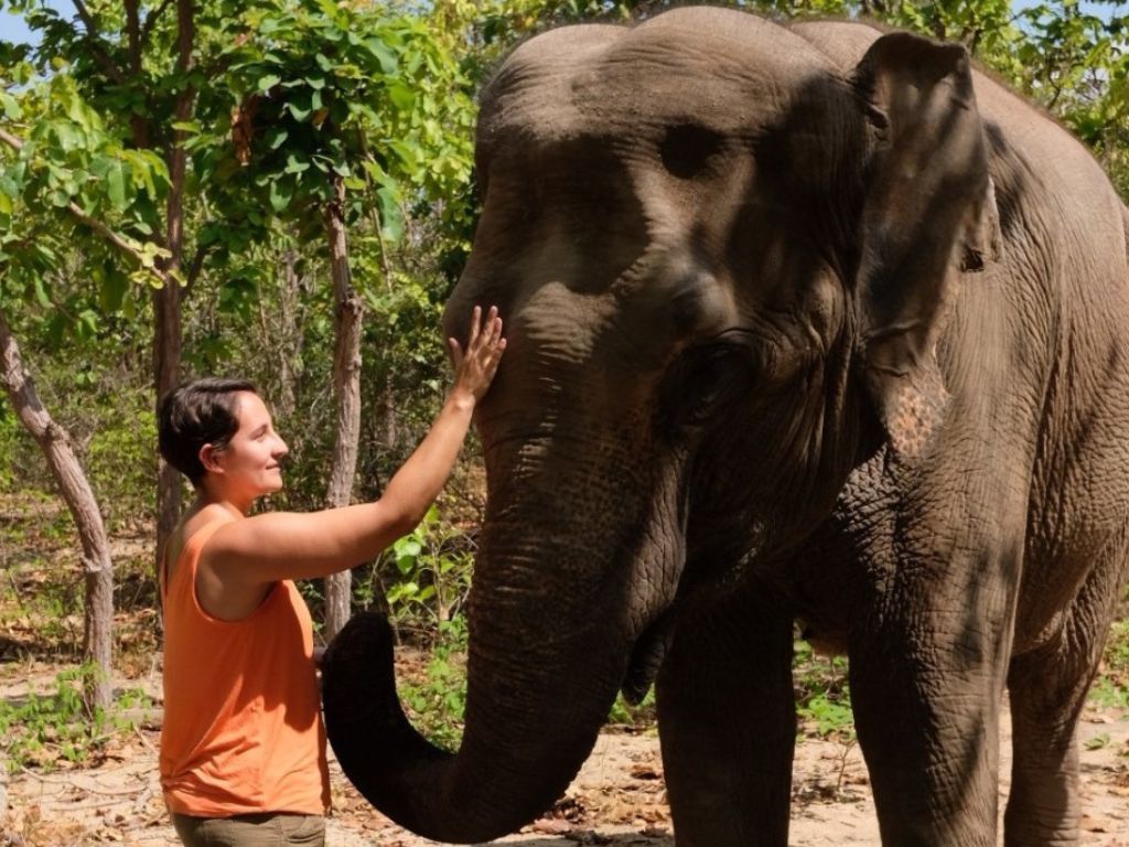  Phnom Tamao Wildlife Center & Buddha Kiri Cambodia private Day Tour from Phnom Penh